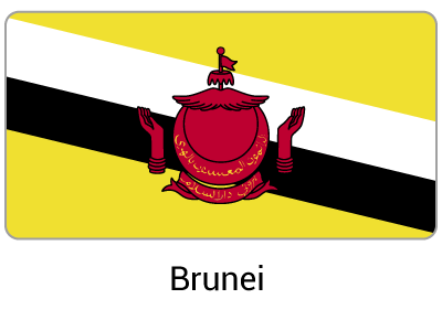 FLAGS-brunei